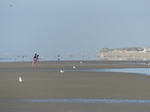 FZ015979 People reflected on De Panne beach.jpg